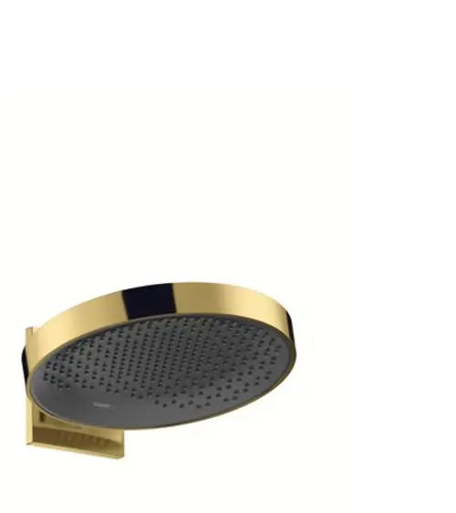 Hansgrohe Kopfbrause mit Wandanschluss in goldglänzender Optik. Runde Form mit gleichmäßig angeordneten Düsen für Wasserstrahl.